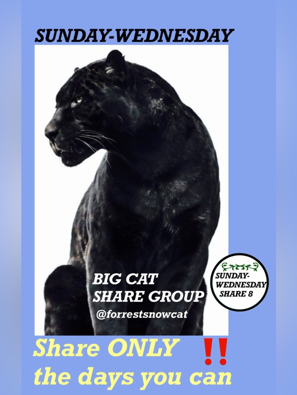 BIG CAT SHARE GROUP